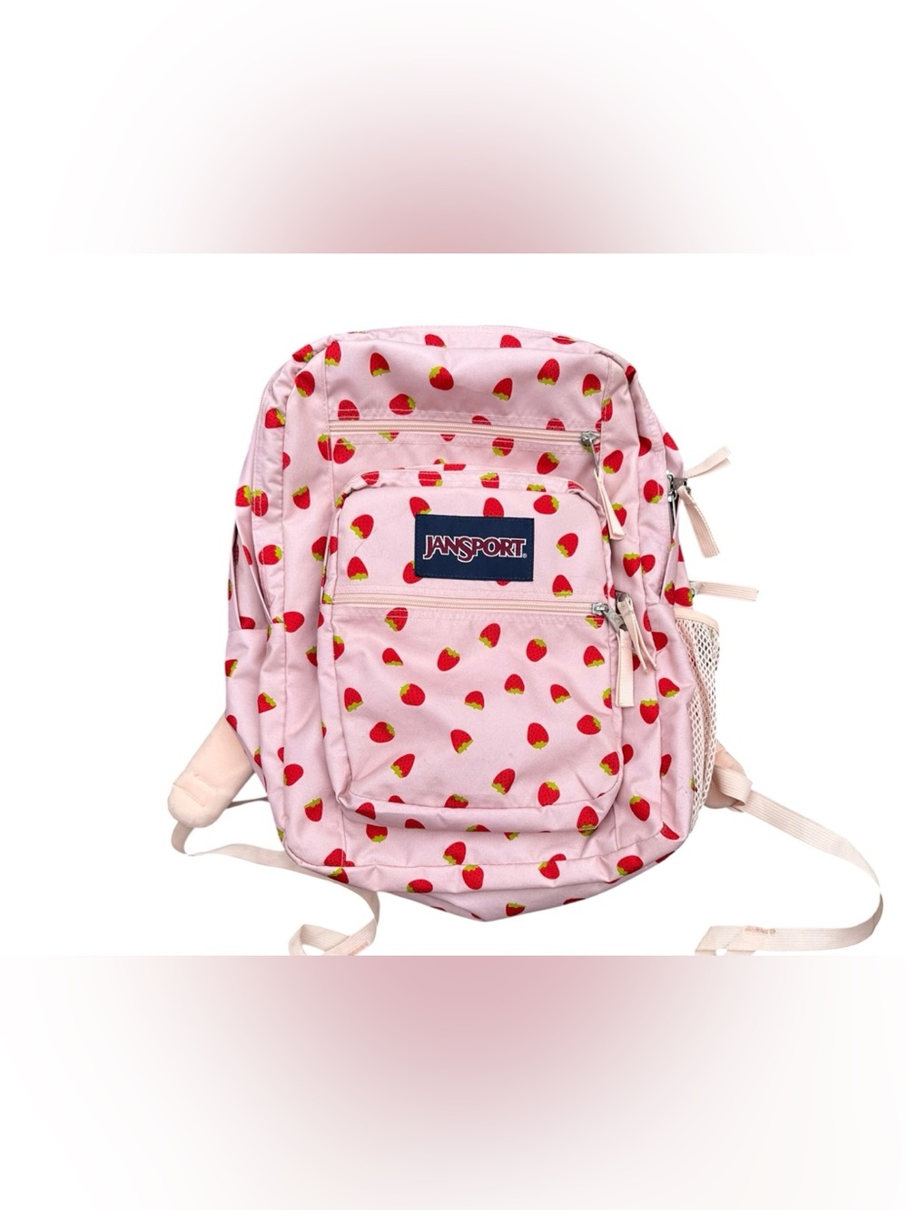 Jansport Strawberry Backpack Pink Full Size Laptop School Bag Multi Pocket